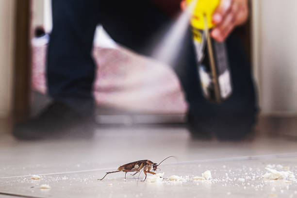 Professional Pest Control in Newmanstown, PA