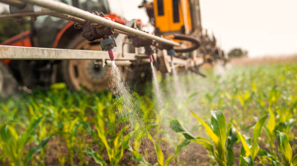 Insect Control in Newmanstown, PA